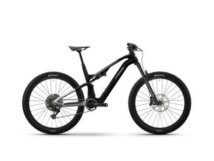HAIBIKE MY26 LYKE CF 10 29Inch 90 HMPU1