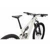 96824 55 LEVO SL COMP CARBON BRCH WHTMTN D1 POV