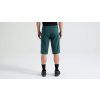 64223 8002 APP TRAIL SHORT W LINER MEN FSTGRN BACK
